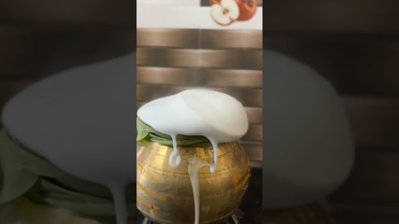 Enga veetu Pongal 
