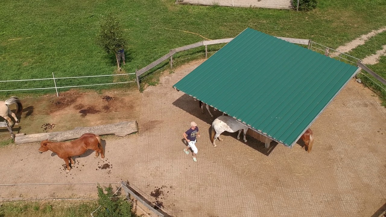 Maple Ranch Paddocktrail Rundflug