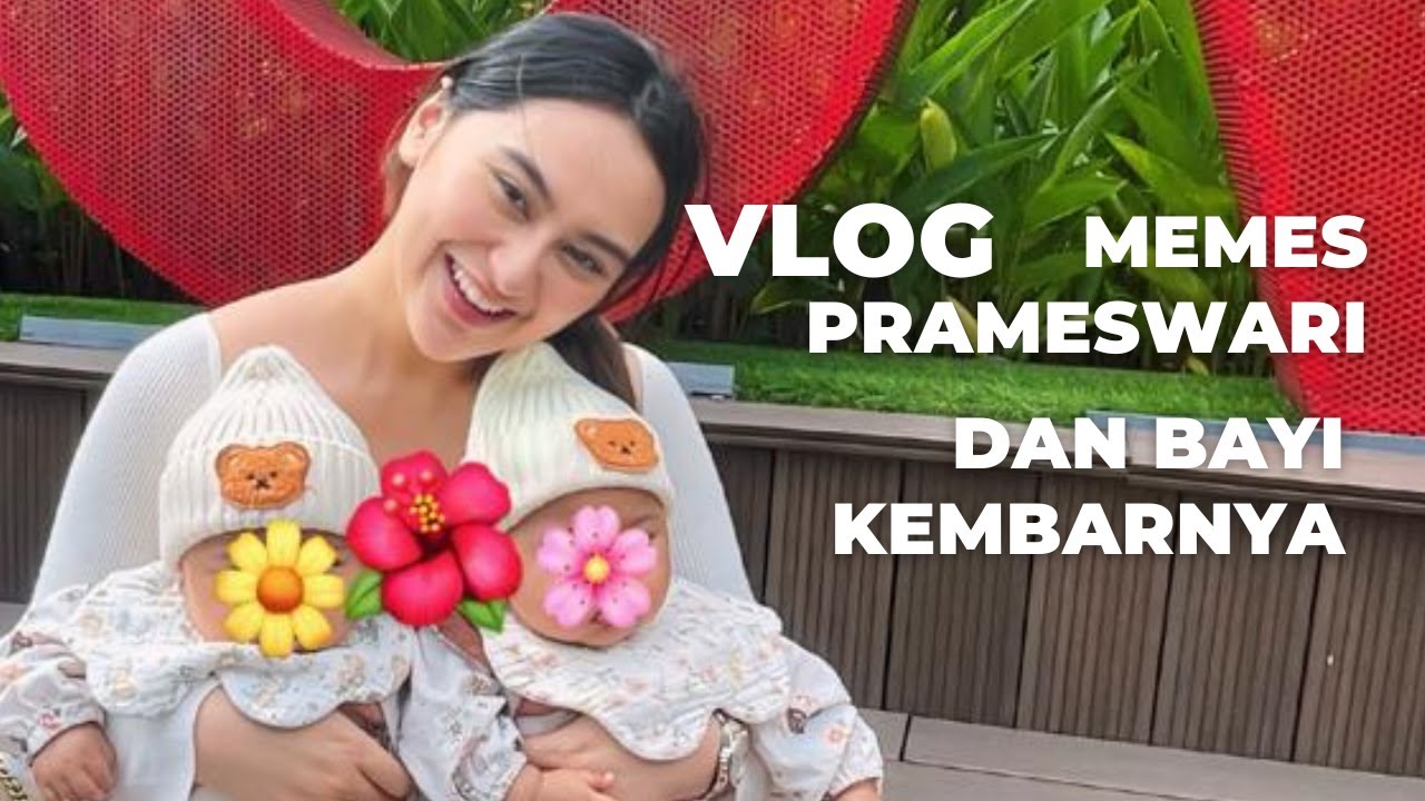 Vlog Memes Prameswari dan Bayi Kembarnya !