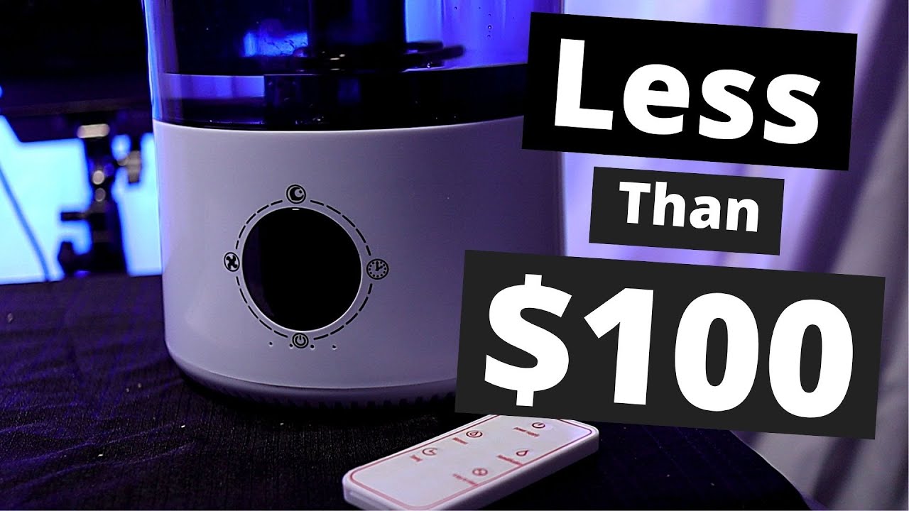 Best Reptile Foggers For Less Than $100