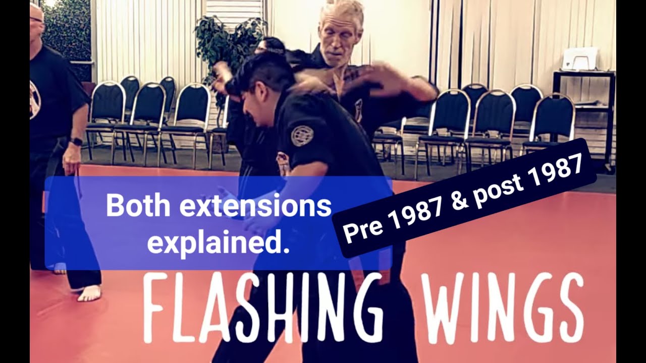 Flashing Wings w Extension, final Ed Parker version (1987) plus previous version. @Amazing Kenpo