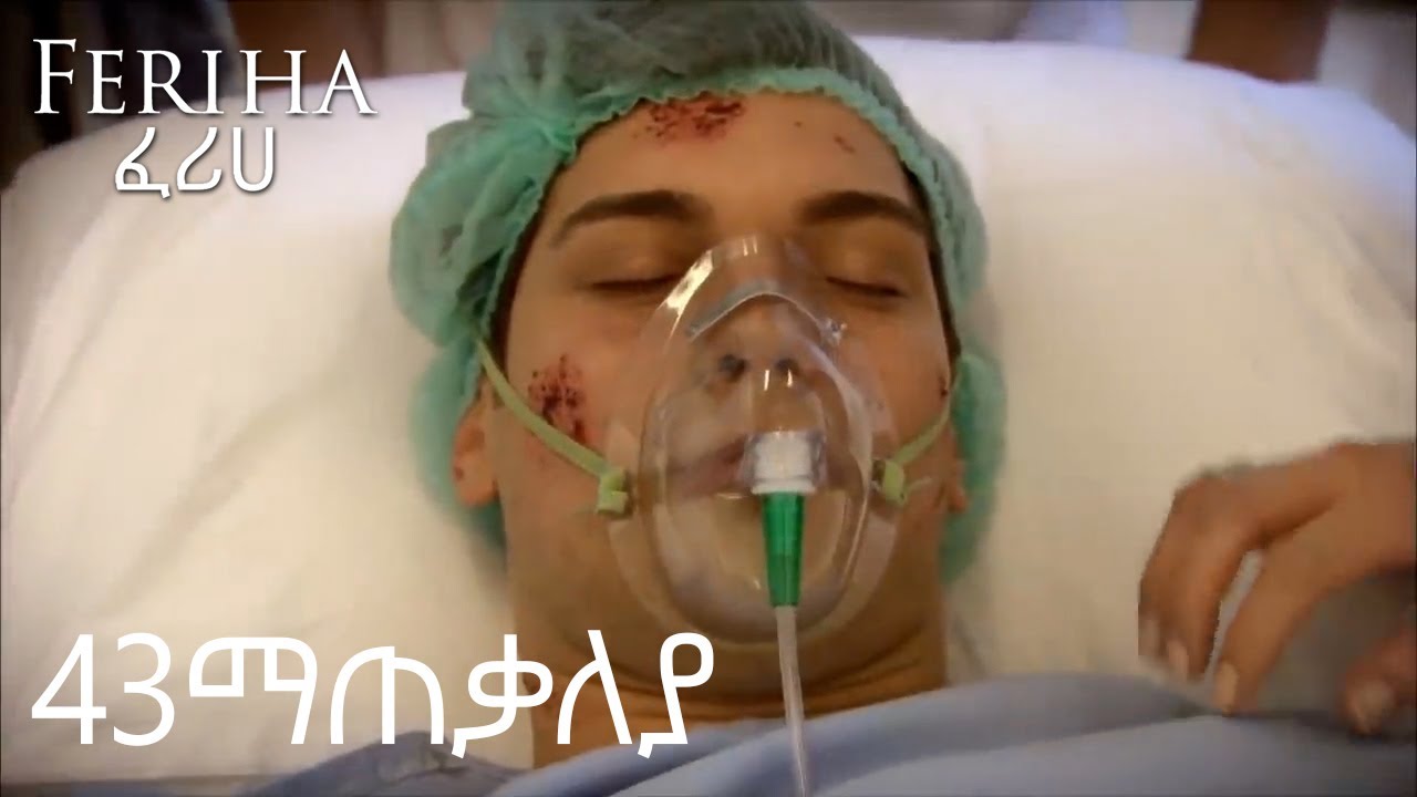 የምዕራፍ 43 ማጠቃለያ