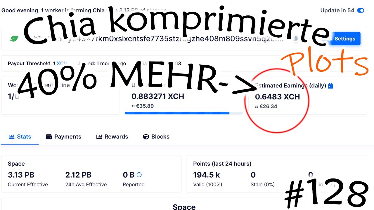 #128 Was bringen komprimierte Plots für Chia Farming wirklich | Verdienst und Stromersparnis?