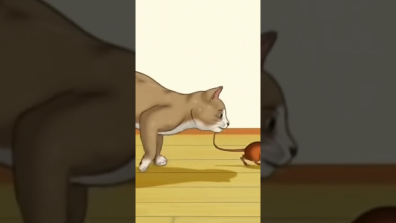 #cat