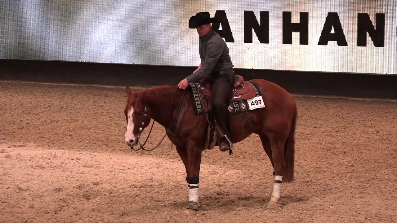 140 Reining Cup 11 Stechen StrNr 497 Emanuel Ernst