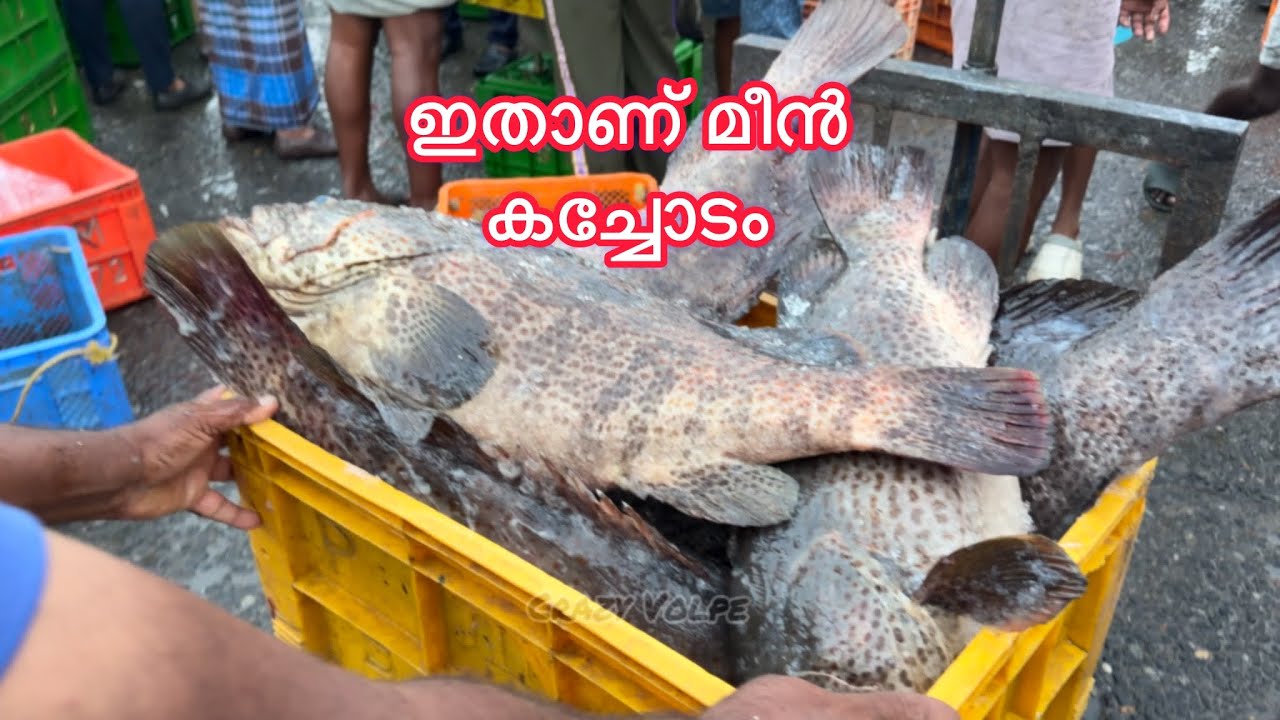 മീൻ വാങ്ങുമ്പോൾ ഇങ്ങനെ വാങ്ങണം 