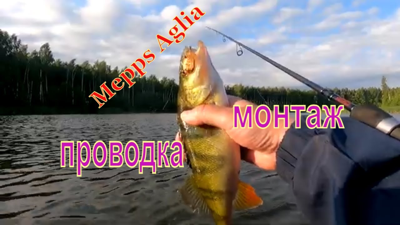 ЩУКА ОКУНЬ НА MEPPS AGLIA / ПРОВОДКА x ТАКТИКА ЛОВЛИ В ЖАБОВНИКЕ
