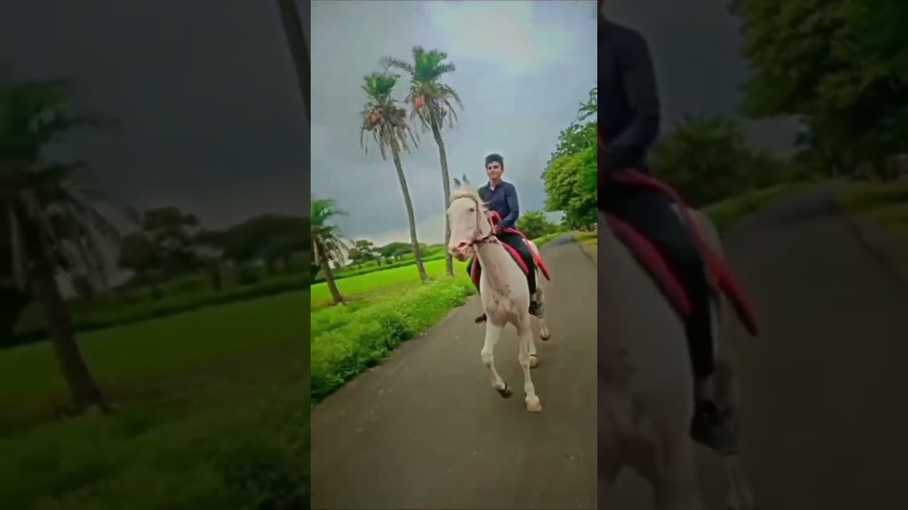 Desi chora #horse power 🔥#shorts#YouTube short s#viral# horse#yaari