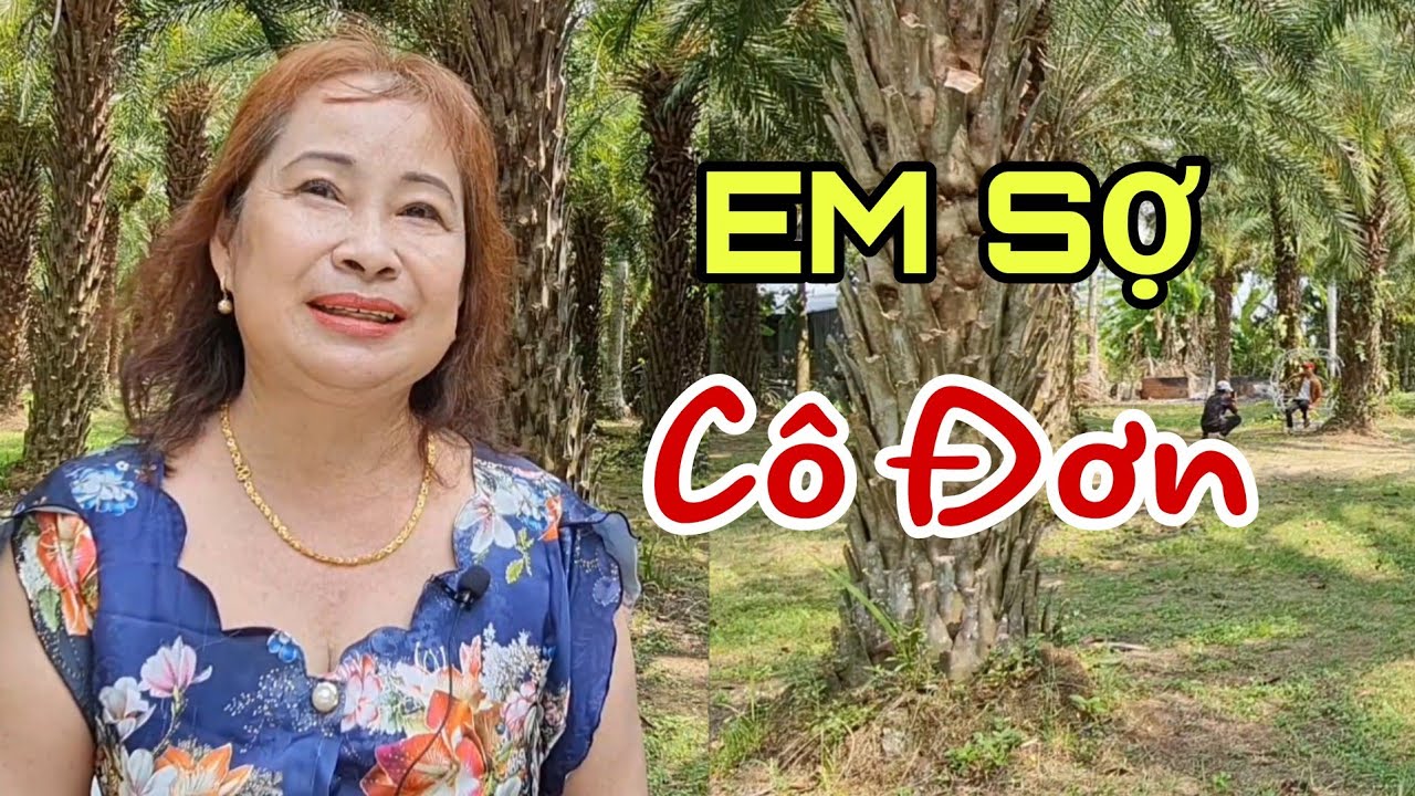 ( B.33 ) ĐÃ QUA THỜI CƠ HÀN. NGỎANH LẠI CẢM THẤY CÔ ĐƠN. CẦN MỘT BỜ VAI ĐỂ SƯỞI ẤM XEM NHƯ HOÀN HẢO.
