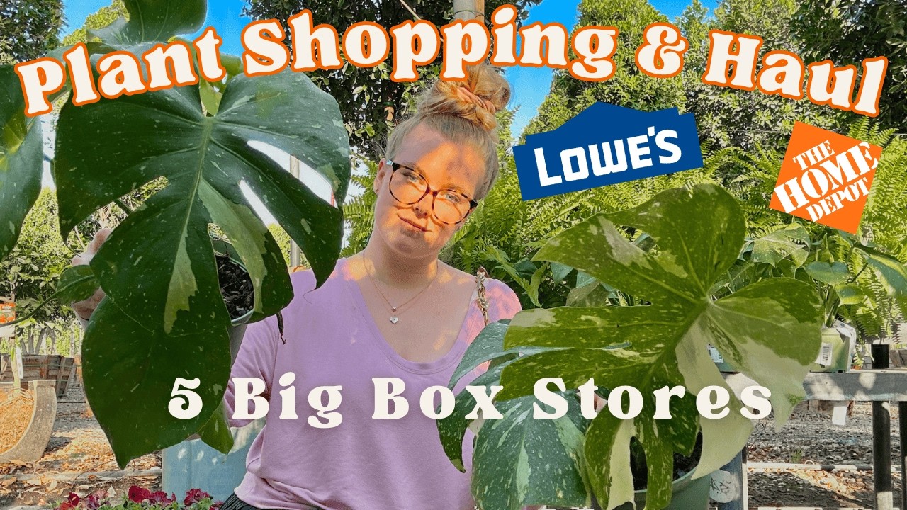 NEW Lowe's & Home Depot $10 Plant Finds! 5 Locations, CRAZY Cheap Plants