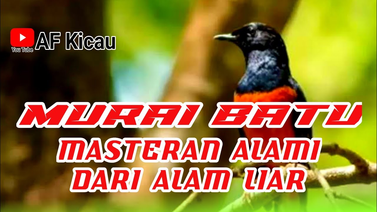MASTERAN MURAI BATU - MATERIAN ALAMI