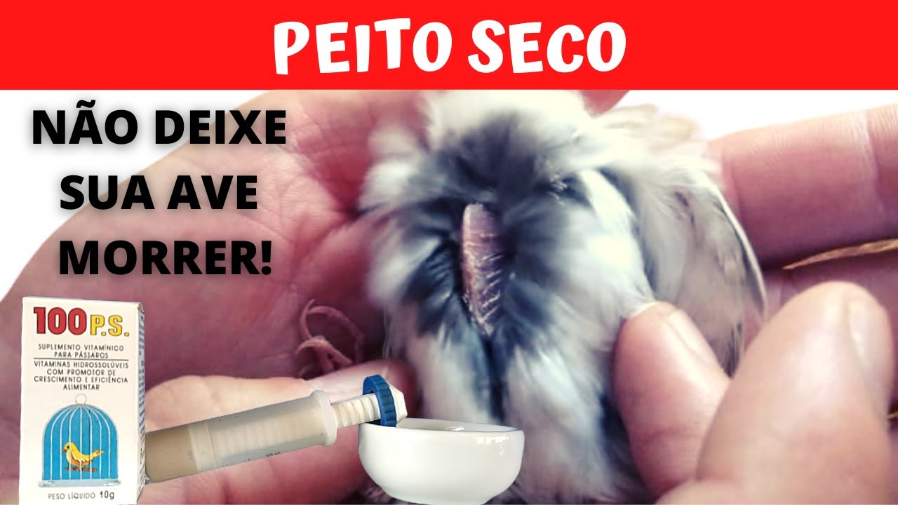 PEITO SECO: PROBLEMA RESOLVIDO