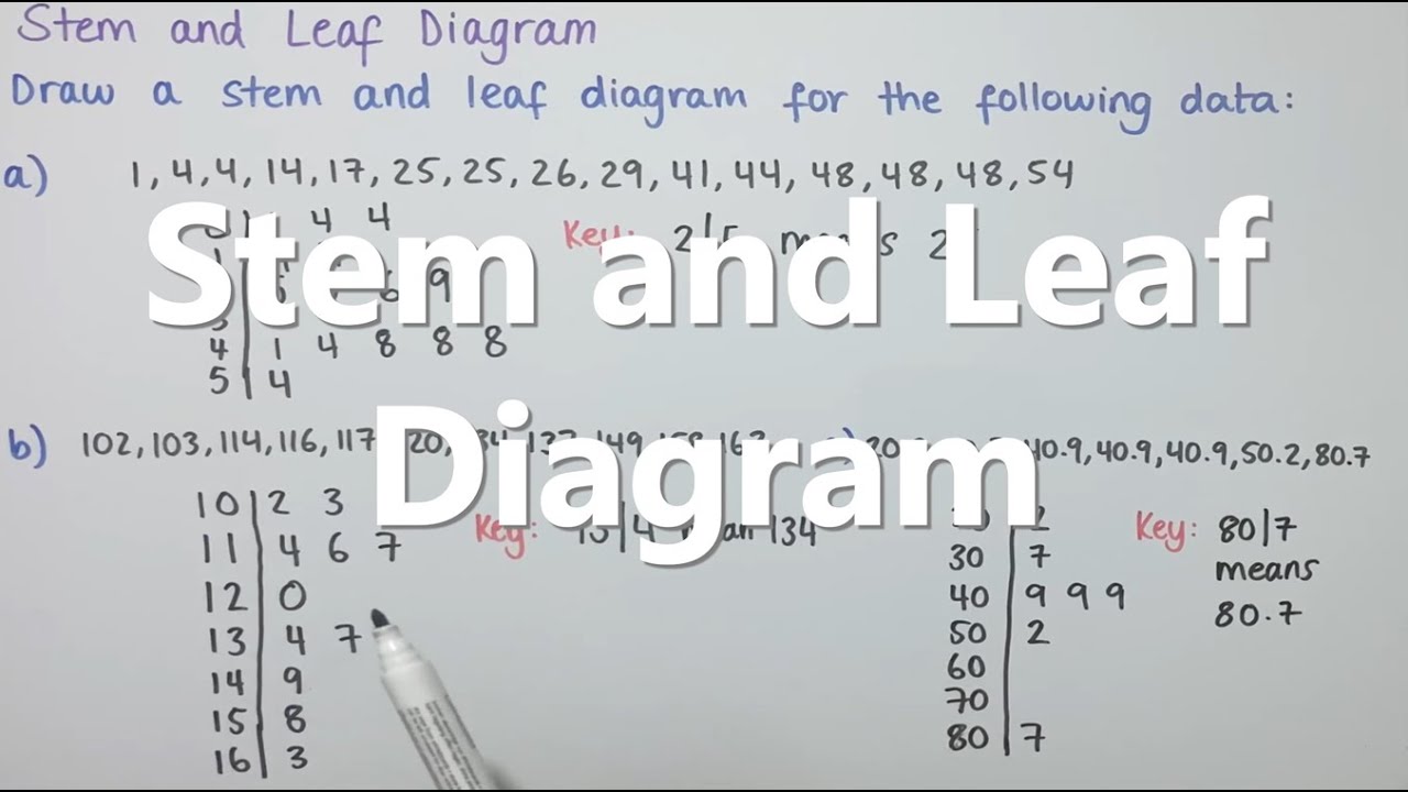 Stem and Leaf Diagram