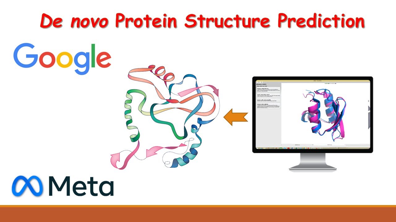 de novo Protein Structure Prediction (التنبؤ بالبنية الهيكلية للبروتينات)