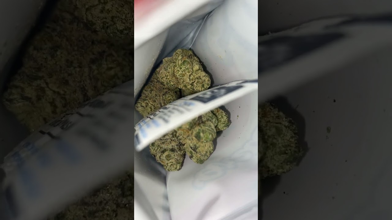 ⚪️ White Rainbow THCA Review: Unveiling the Potent Magic! Coming Soon!