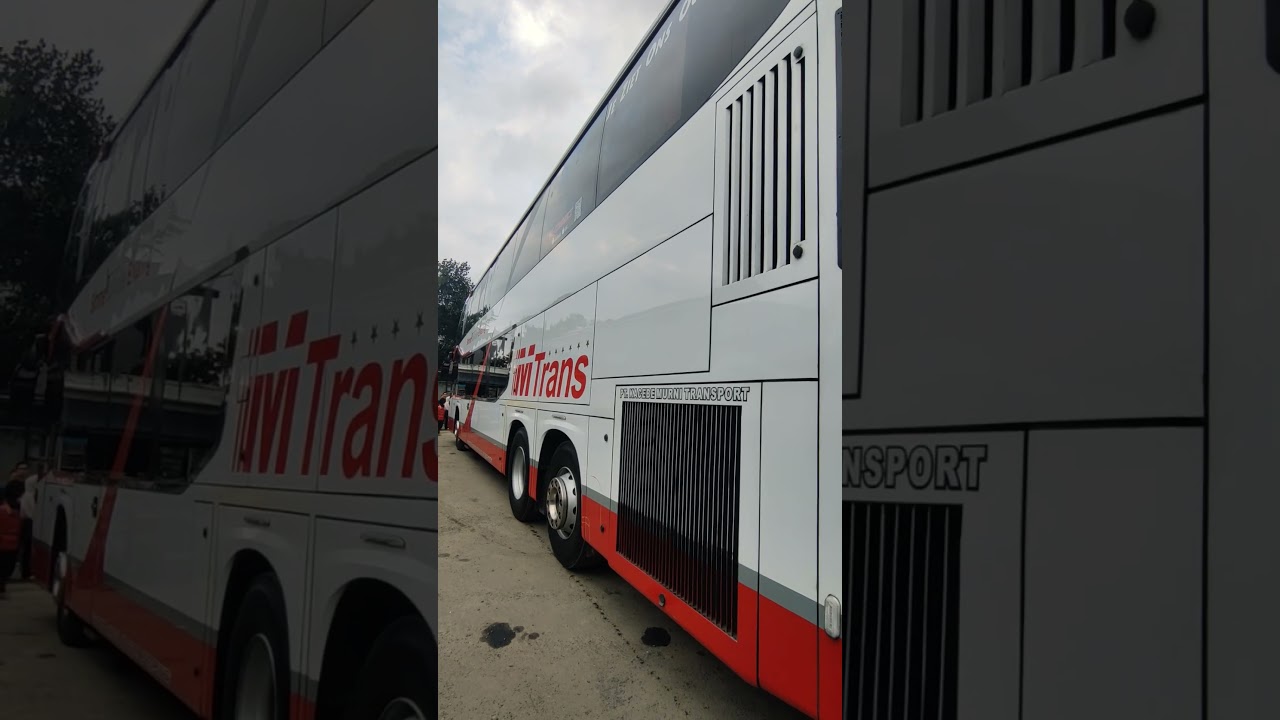 sophisticated luxury bus with automatic doors #luxurybus #automobile #bus #mtrans #shorts #busmania