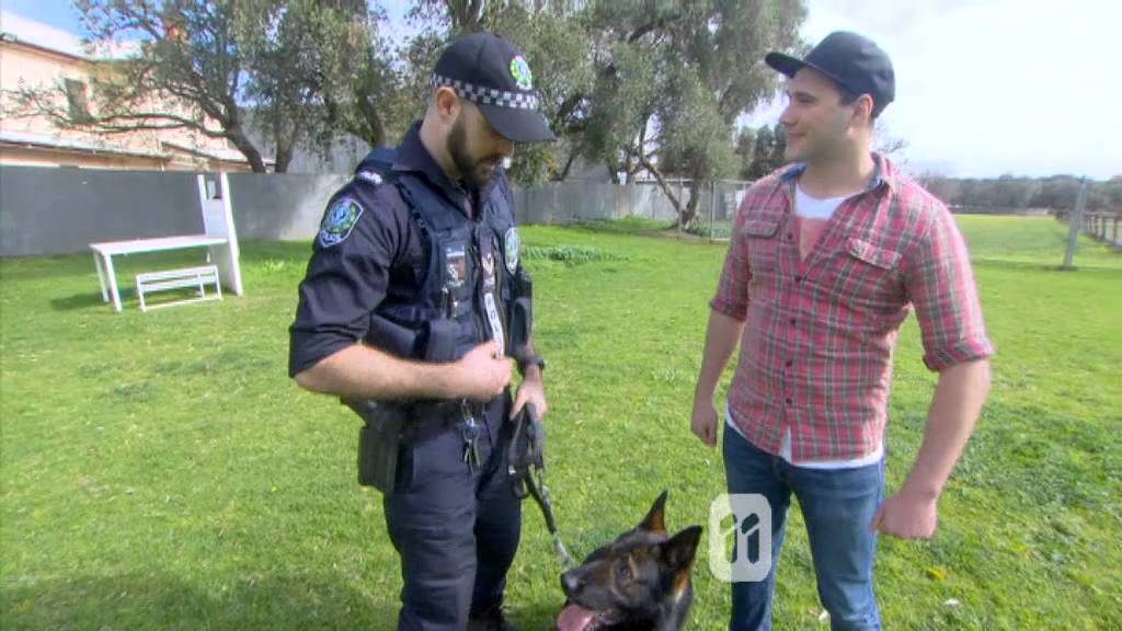 SA Police Dog Operations Unit training as filmed by Totally Wild