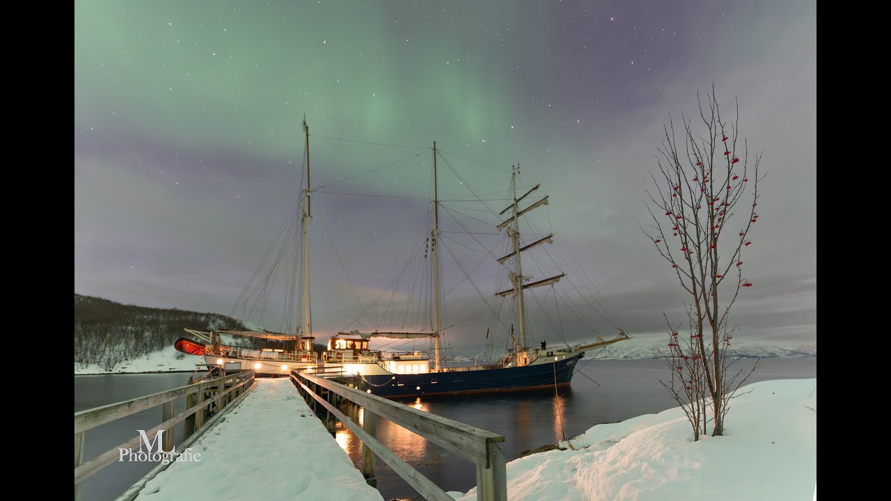 Norway 2025 Northern Lights and Whales the 2nd