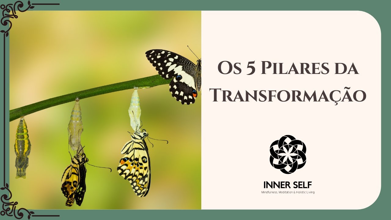 Os 5 Pilares da Transformação