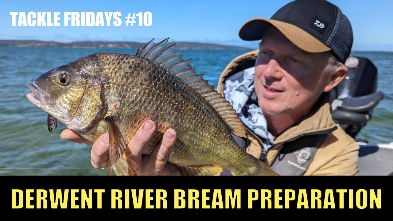 Пятничные тренировки по дайвингу #10