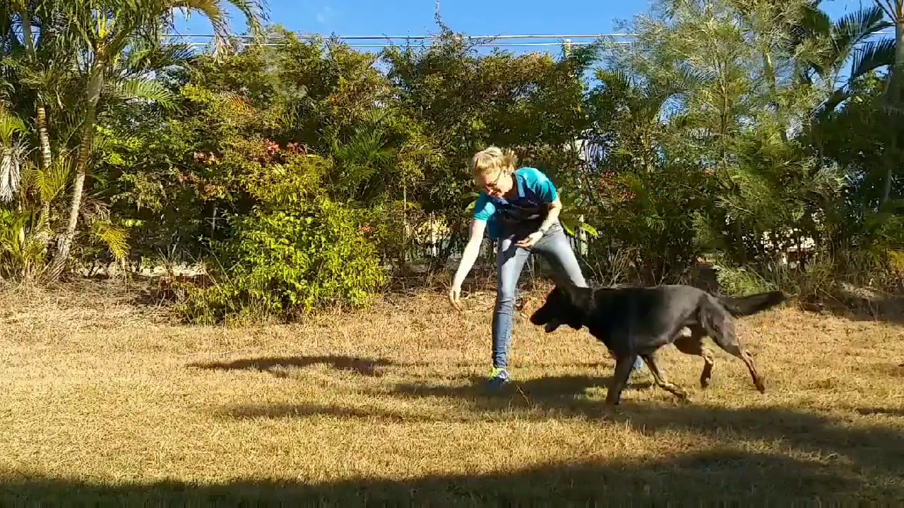 Treat chase game for building food drive
