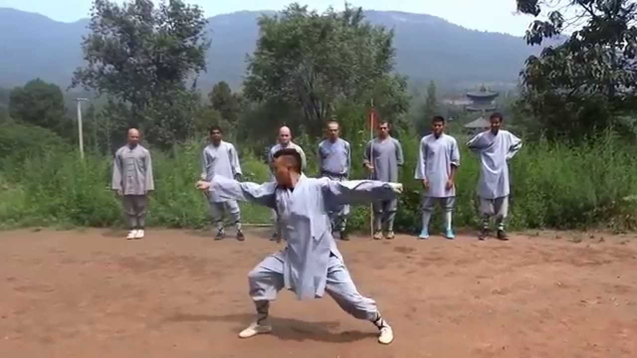 Shaolin Kung Fu - Tong Bei Quan