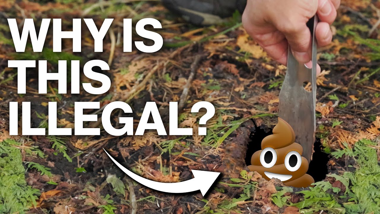 Why Can't You Poop in The Woods?