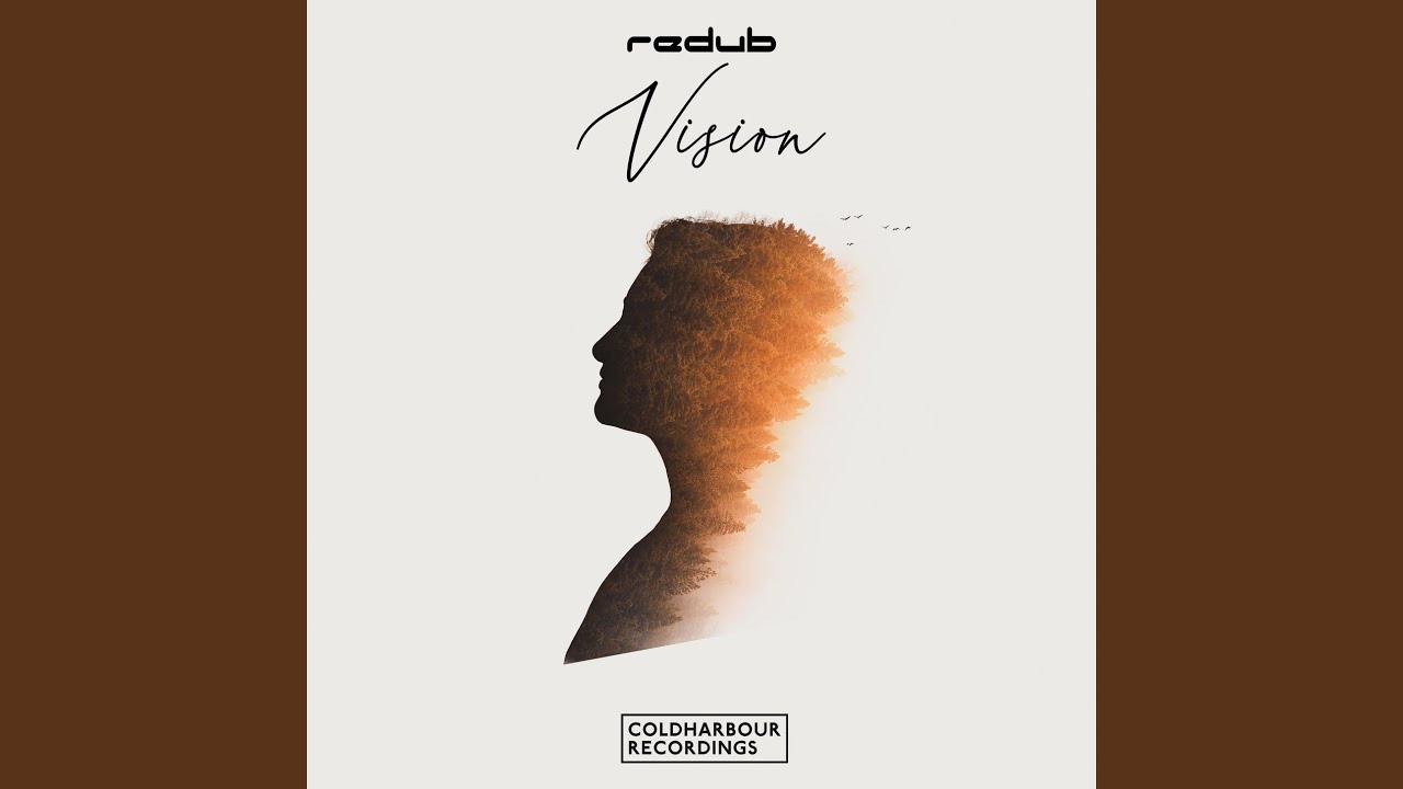 Vision
