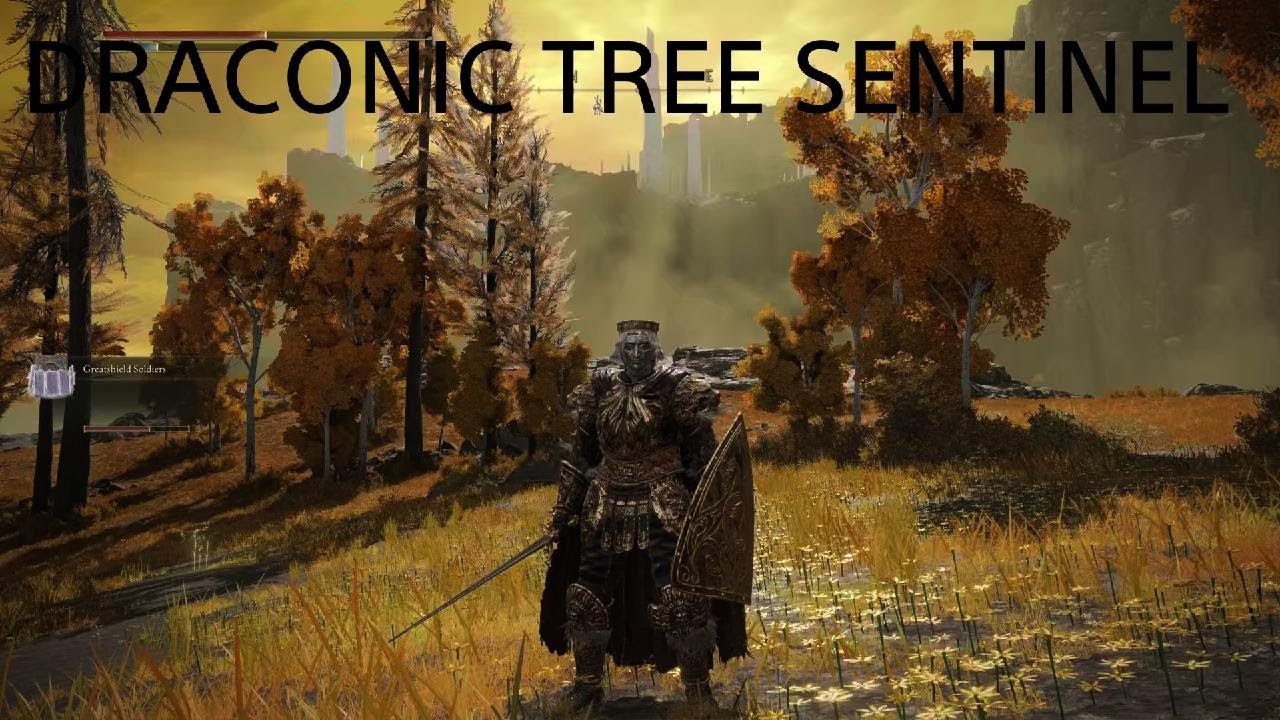 FIGHTING DRACONIC TREE SENTINEL ON PURE SKILL!!