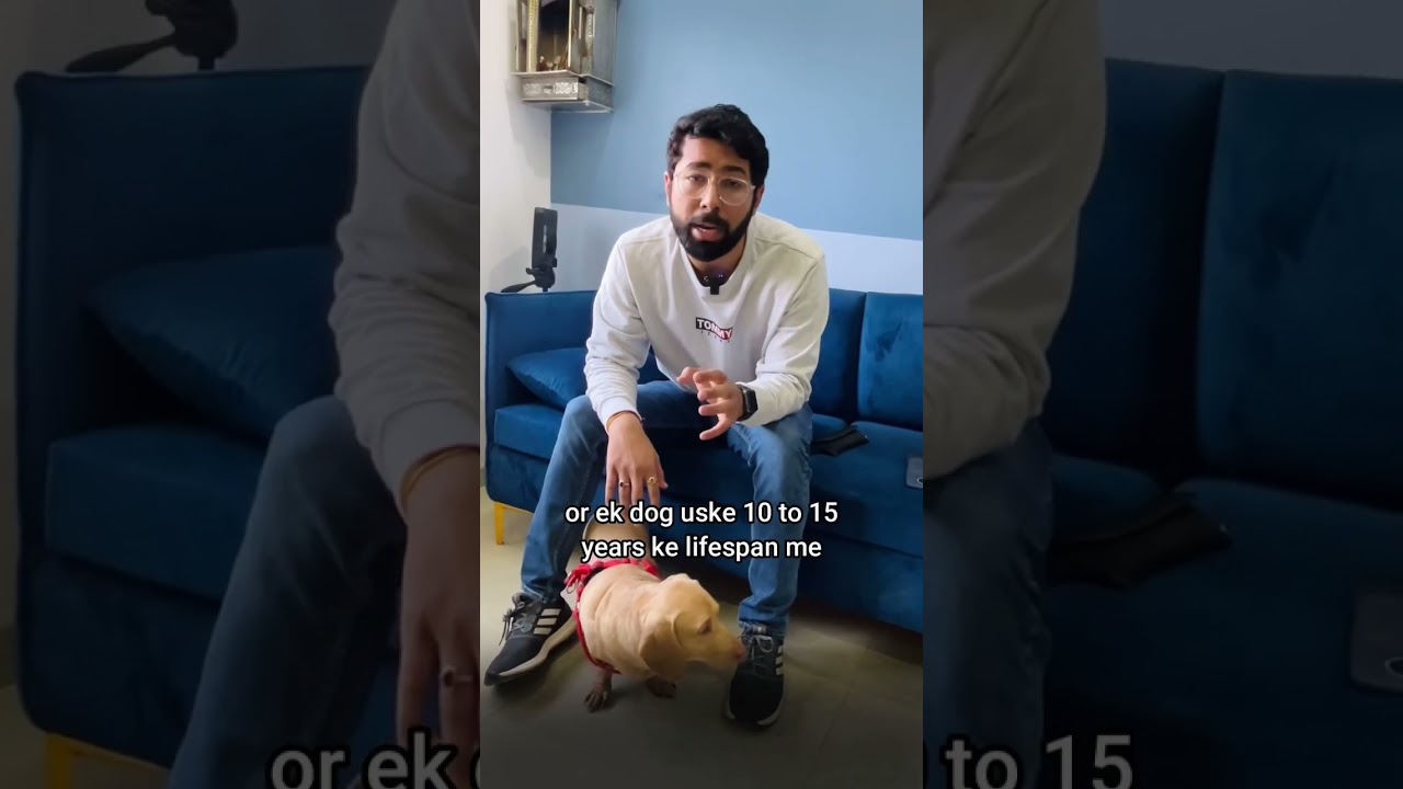 Save money on Dogs Medical expenses #dog #pets #insurance #shorts #ideaman