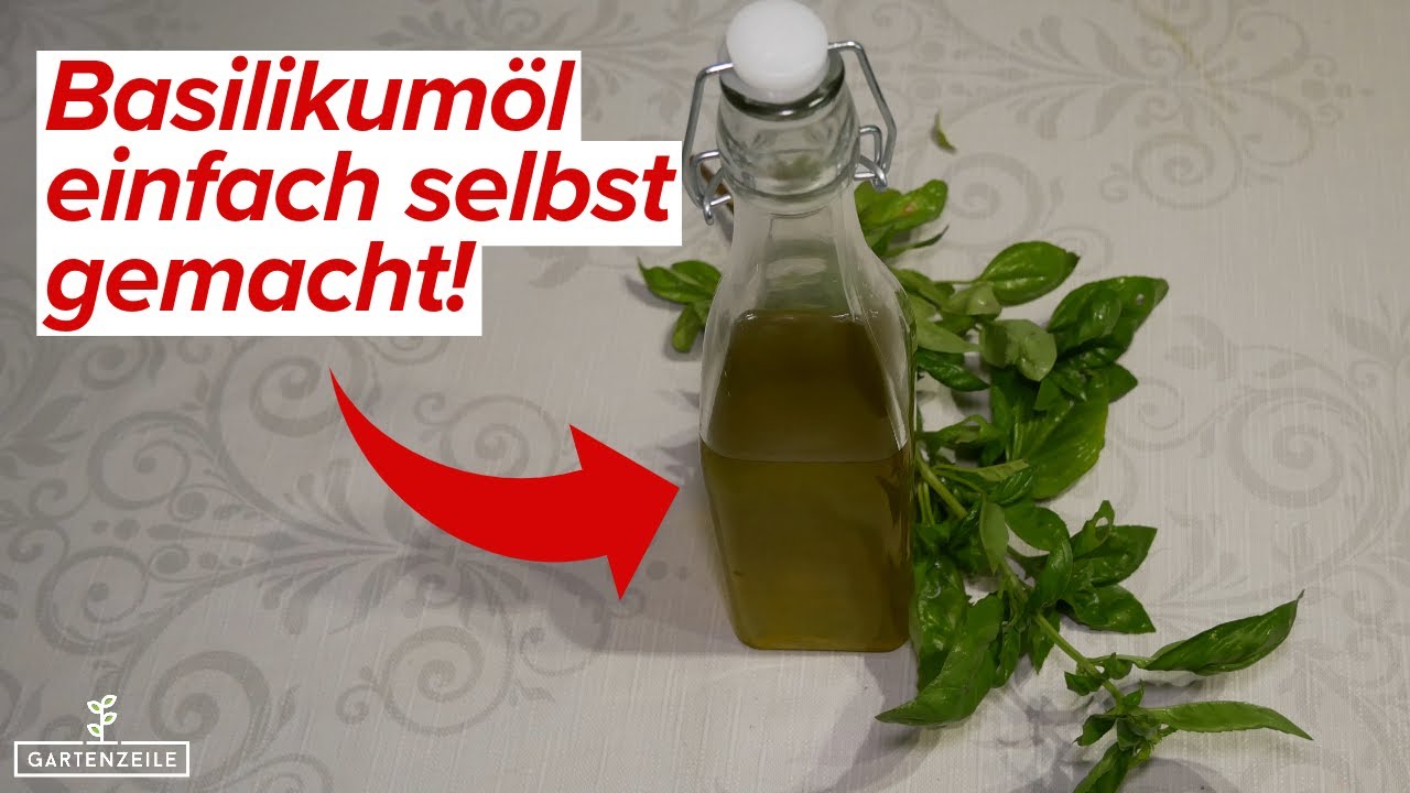 Basilikumöl herstellen [Schritt für Schritt erklärt] So einfach und so lecker!