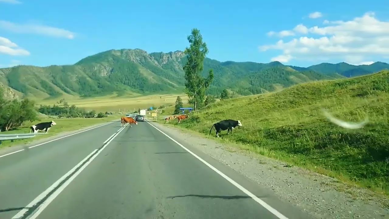 Altay Road trip 2021. Part 1.