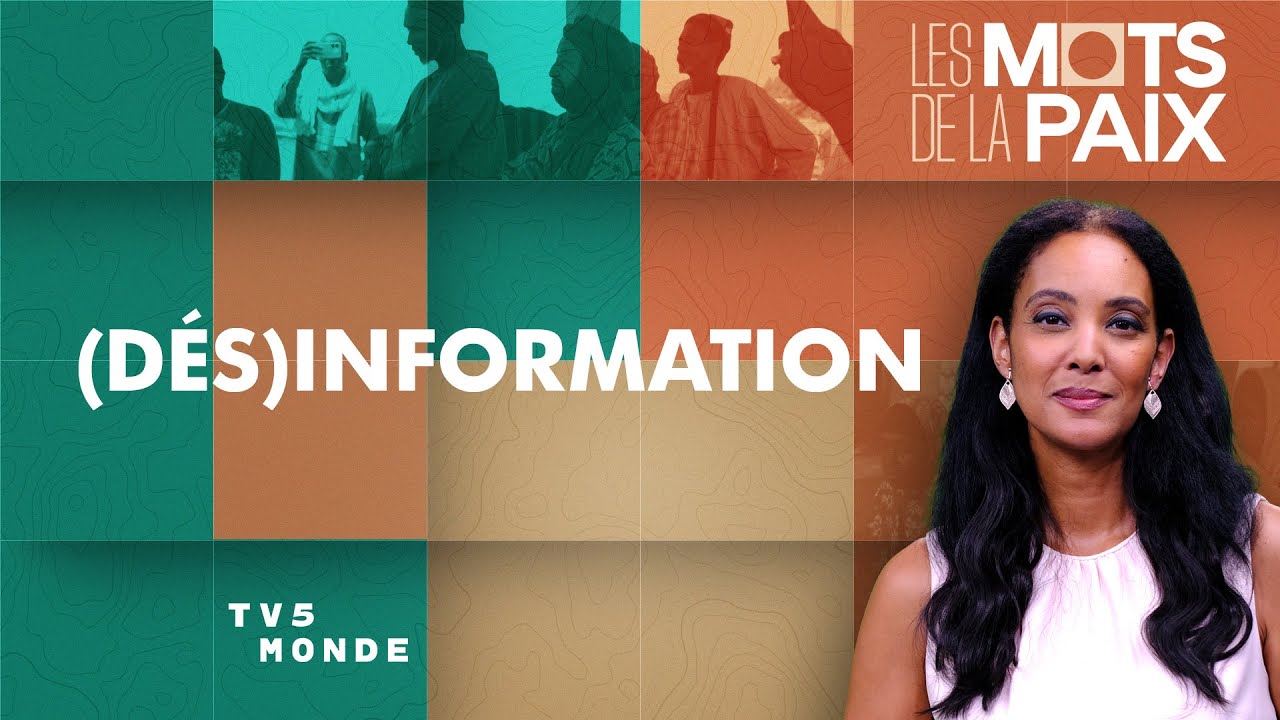 Désinformation : comment les fake news alimentent les crises en Afrique | Les Mots de la Paix
