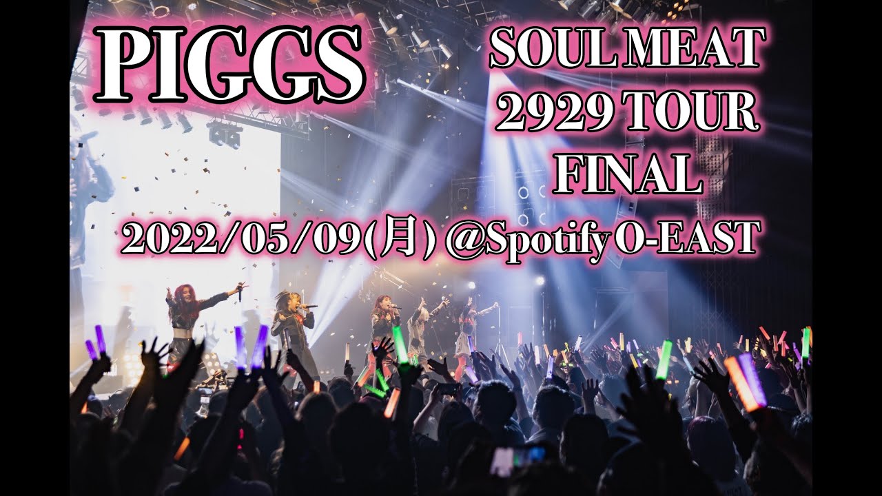PIGGS - SOUL MEAT 2929 TOUR FINAL