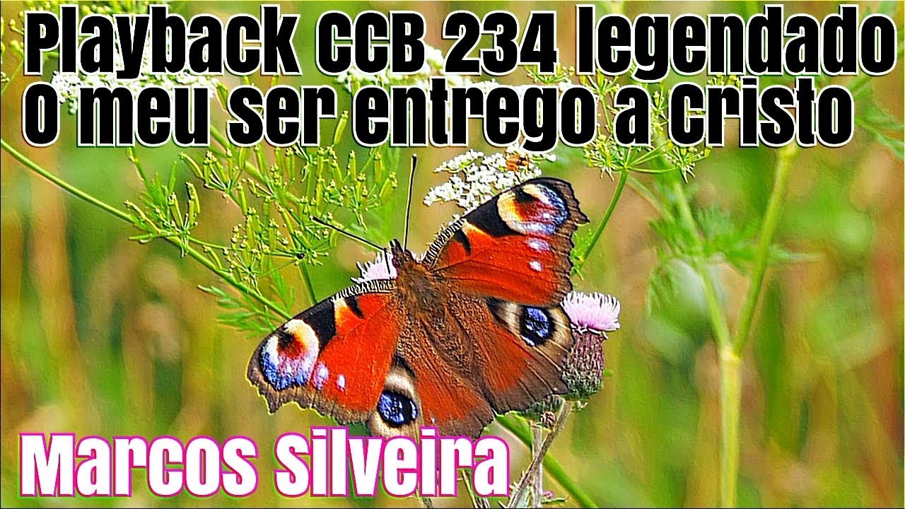 PLAYBACK CCB O MEU SER ENTREGO A CRISTO 234 LEGENDADO