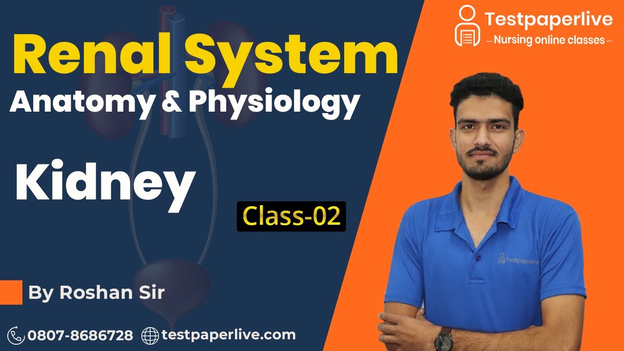 MSN | Kidney Covering | Nursing online Classes | Nursing Officer & Staff Nurse by Testpaperlive