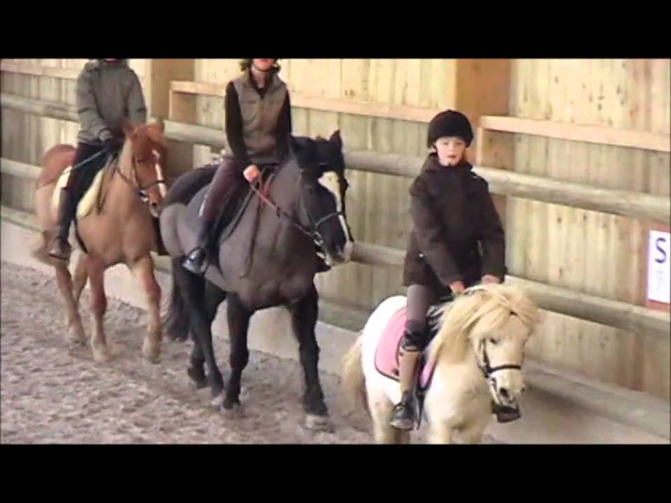 Cours d'équitation avec inès sur mimo turbo et léna sur sucette