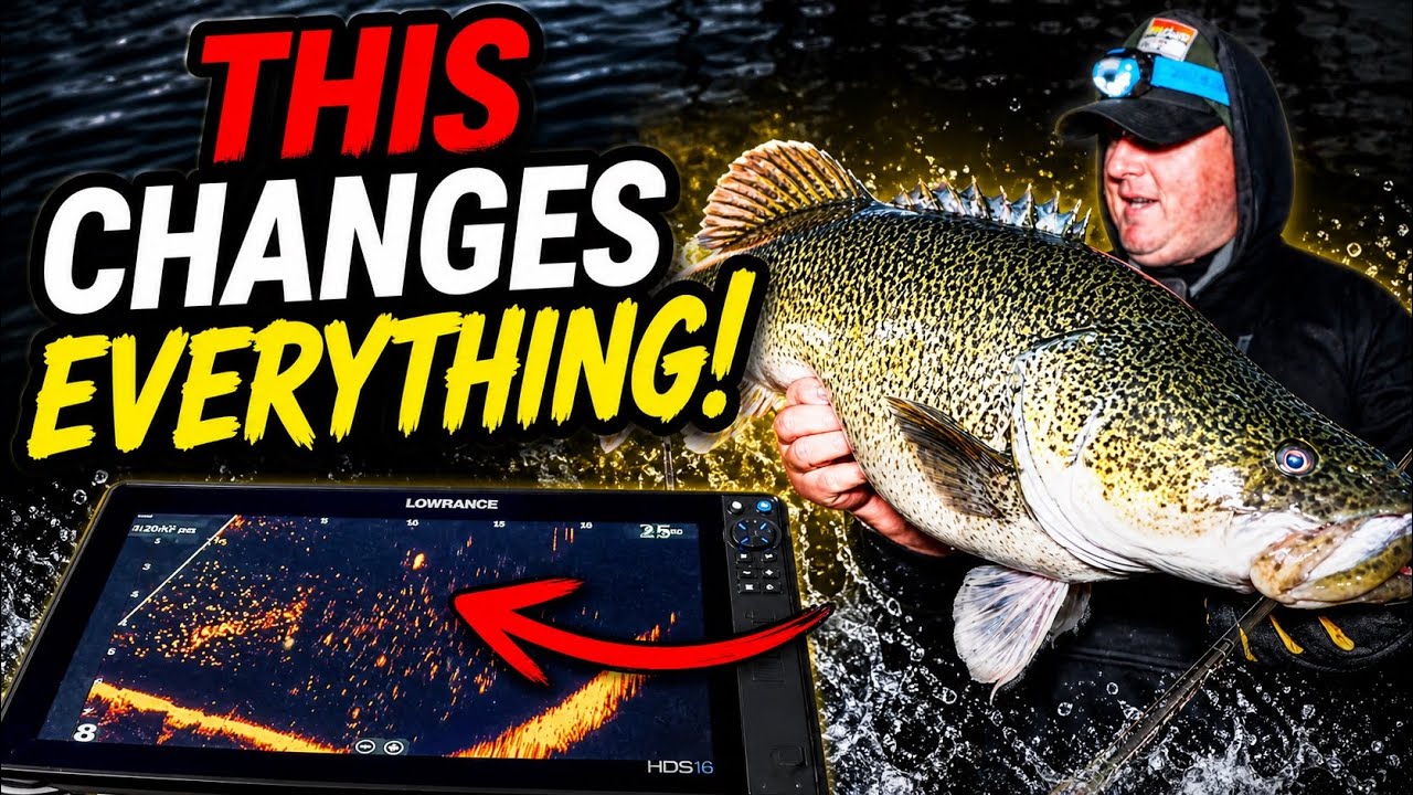 Fishing Copeton Dam For MURRAY COD Using live sonar