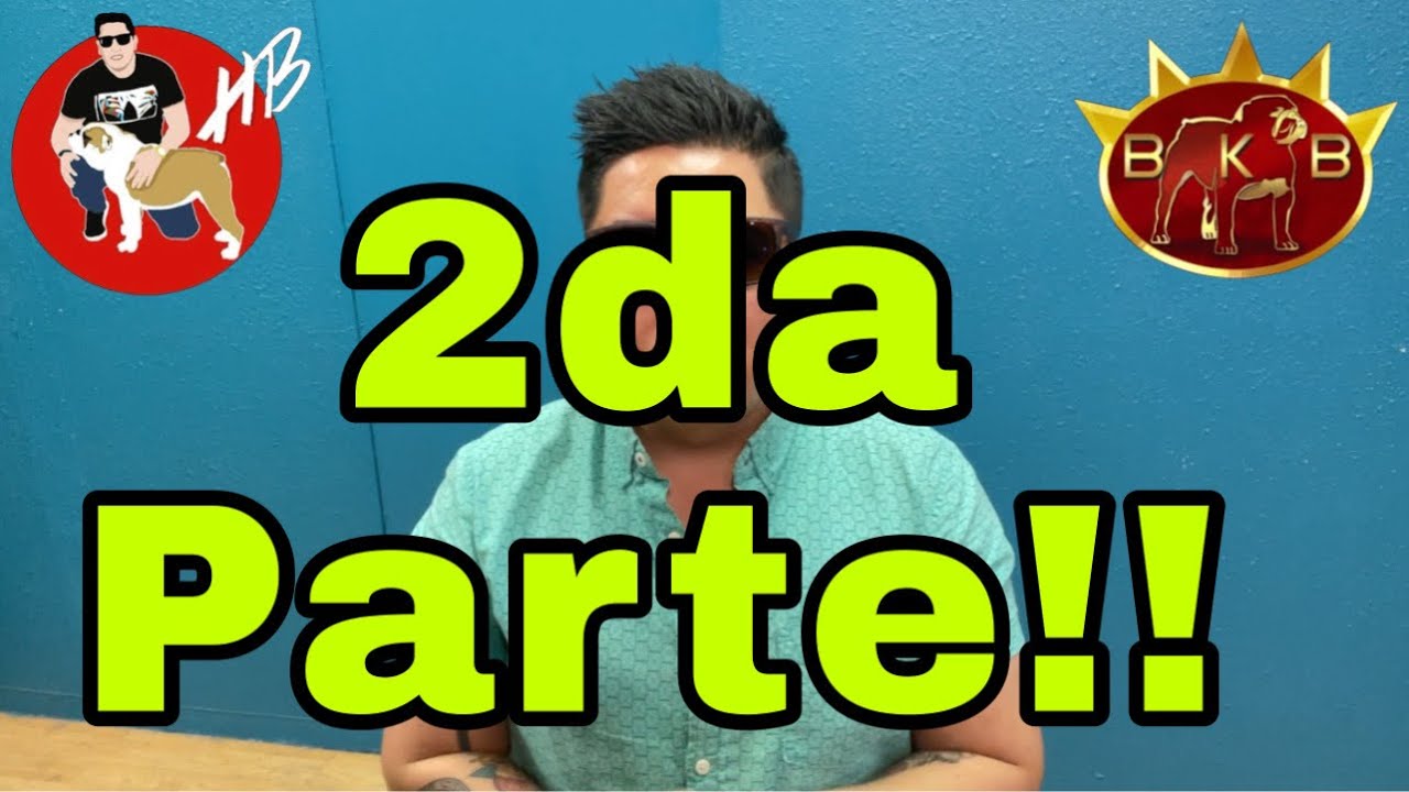 PARTE  #2 Edad Fea del Bulldog