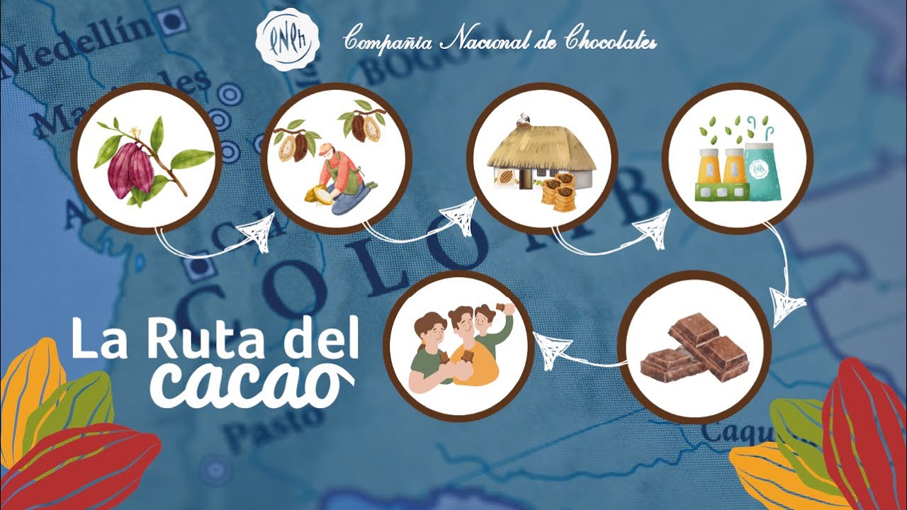 Ruta del Cacao | Compañía Nacional de Chocolates