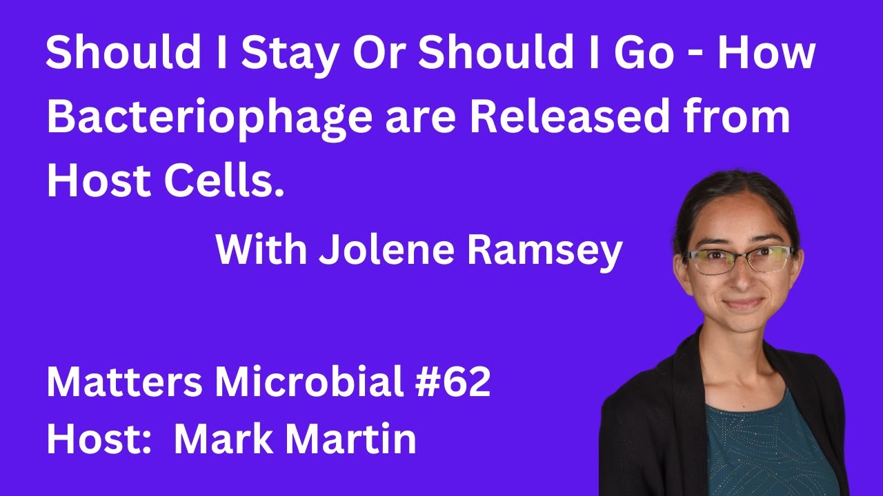 Matters Microbial #62: Should I Stay, or Should I Go—How Bacteriophage are Released from Host Cells