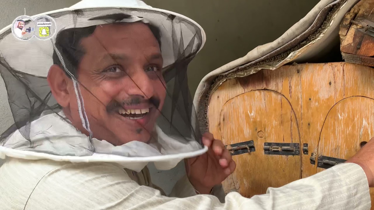 النحالة والنحل علاقة عشق لا تنتهي مناحل الاستاذ أحمد معدي بوادي ريم رجال المع