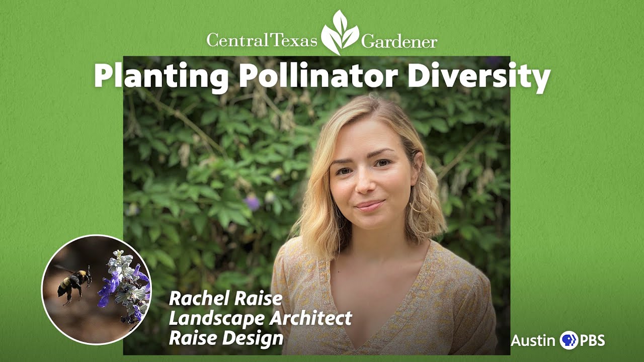 Planting Pollinator Diversity: Rachel Raise