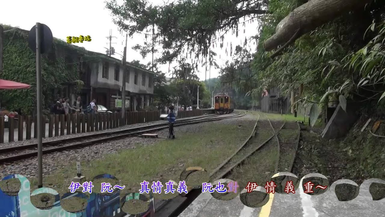 丁蕾  為情為孝走天涯