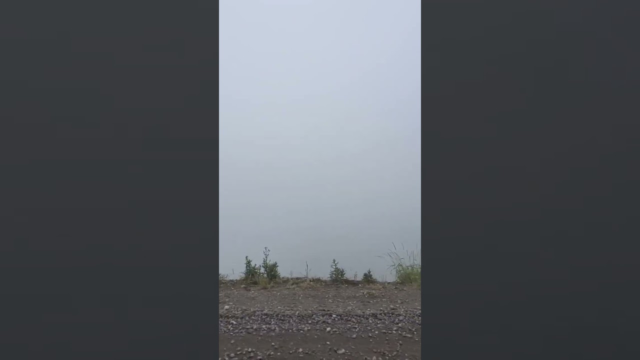 Driving on #mtrainiernationalpark be like...🏔 #mistymountains #visitwashington