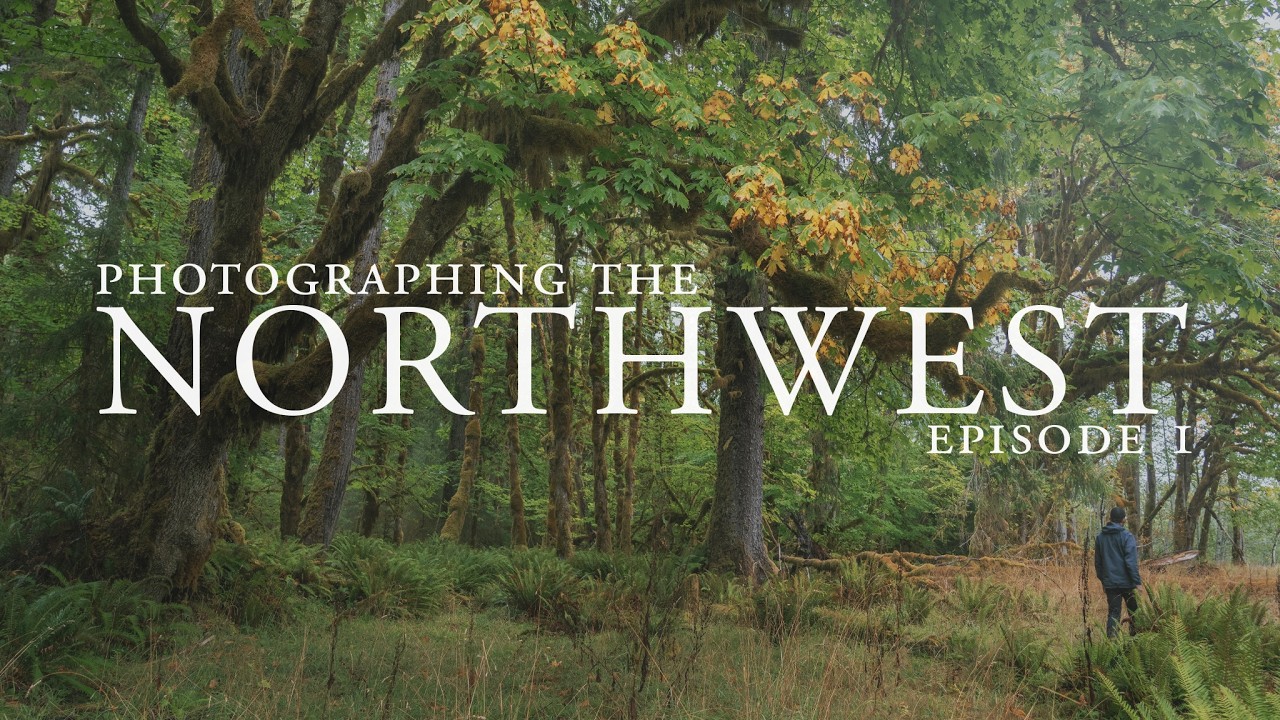 Photographing Olympic National Park // A Day in the Hoh Rainforest