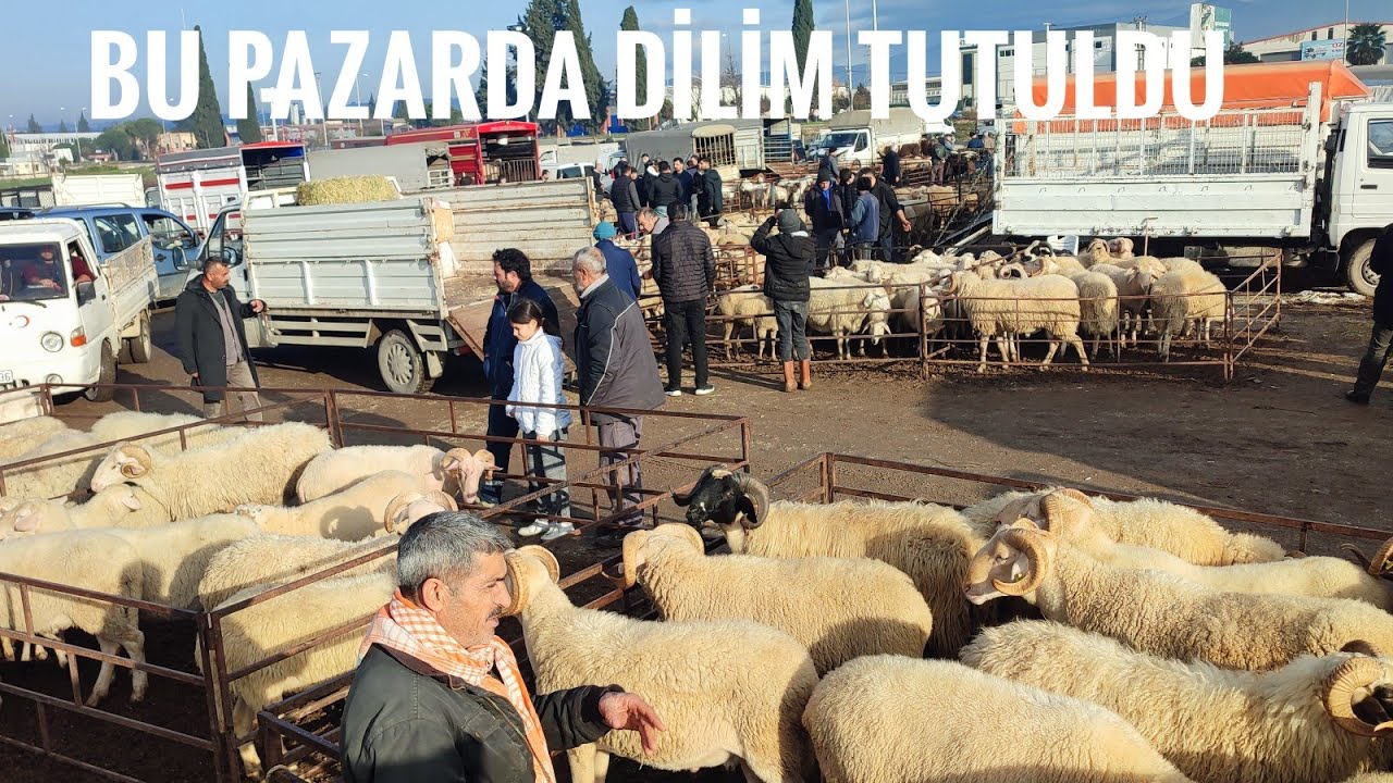 TORBALI HAYVAN PAZARINDA YOK DEDİRTEN PAZARLIKLAR.
