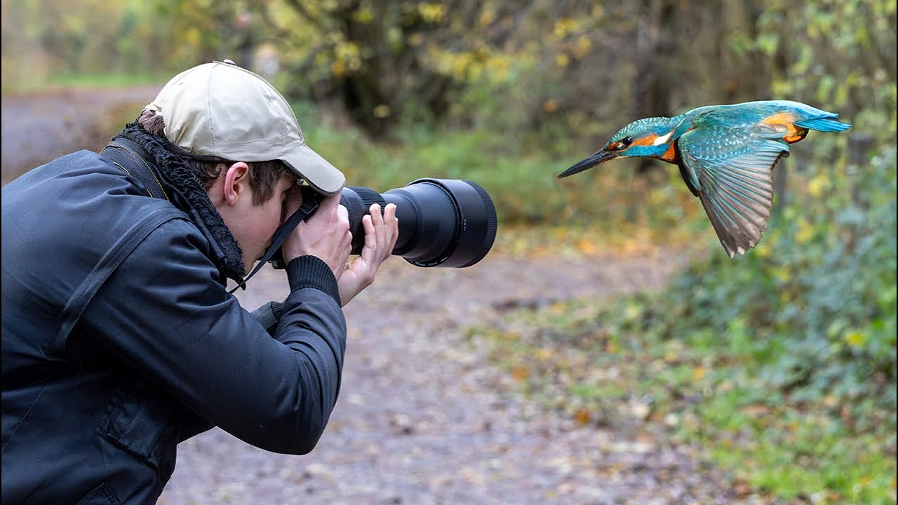 4k Naturfotografie Vlog
