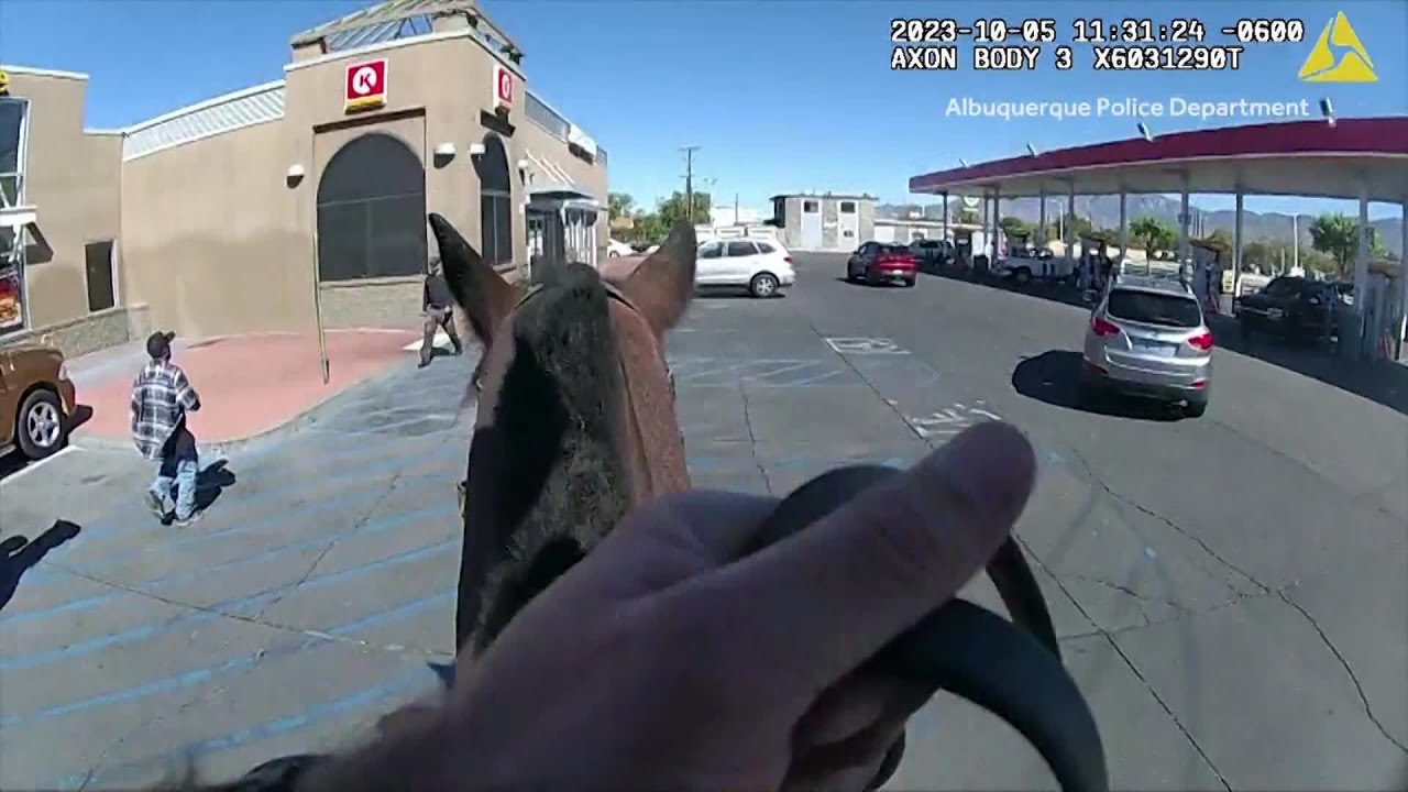 Man backhands Albuquerque police horse