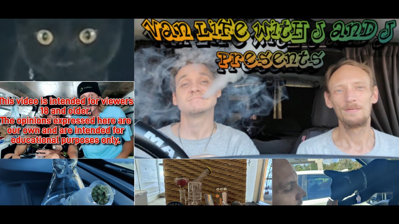 Duo Live Review Jam'N Hemp Forbidden Fruit THC-O Vape Cart